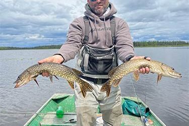 Northern Pike Fly Out Fishing